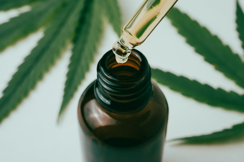 Discovering the Gentle Power of CBG Oil for Natural Pain Relief